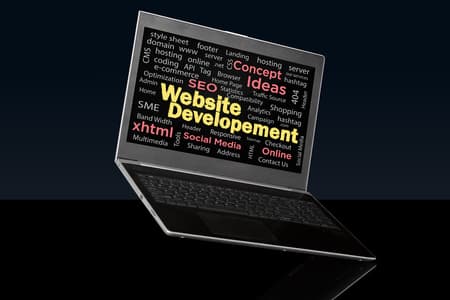 Web development